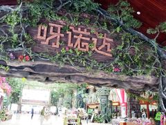 -呀诺达热带雨林