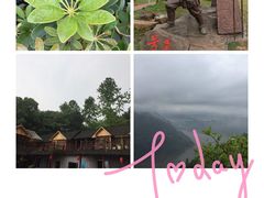 -铁山坪森林公园