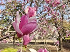 -南通鹏欣花园国宾酒店