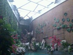 android_upload_pic-热带雨林汗蒸馆(汶水东路店)