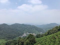 -龙井村