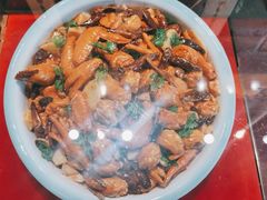 -杜婆鸡跳跳蛙(亿都店)