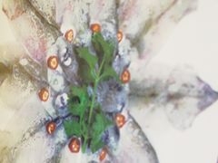 -川锅一号火锅(睢宁店)