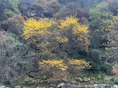 -少华山国家森林公园