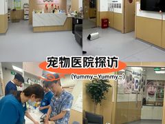 -康成宠物医院24H·CT·核磁共振