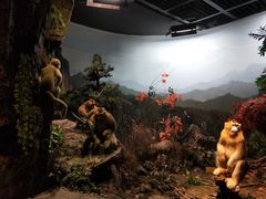 -陕西自然博物馆