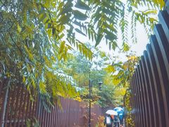 -南山植物园