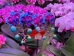 -三旗百汇商品城