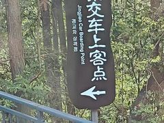 -梭布垭石林景区