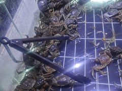 -聚盛源蒸汽海鲜火锅烤肉自助(巨川金海岸购物广场店)