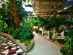 -红栌温泉山庄生态美食餐厅