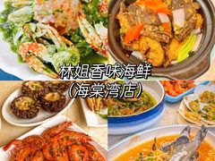 -椰梦长廊