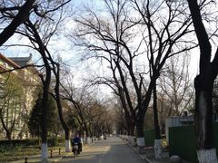 -山东大学(趵突泉校区)