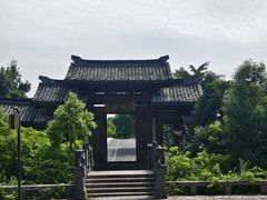 -三垟湿地