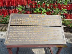 蒙山大佛介绍-蒙山大佛景区