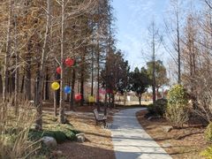 -上海长兴岛郊野公园