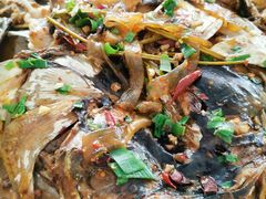 -庆岭迎宾园正宗活鱼馆