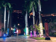 -三亚湾红树林度假世界(木棉酒店)