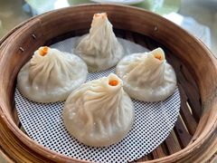 -点都德·毕德寮