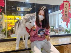 -Husky Go! 哈士奇体验馆·宠物咖啡厅狗咖