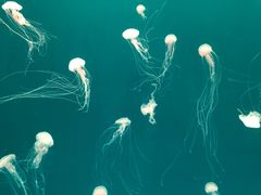 -多彩贵州城极地海洋世界