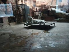 -鄂尔多斯野生动物园