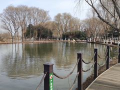 -西安浐灞国家湿地公园