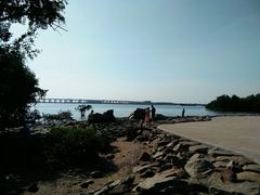 -宝安西湾红树林湿地公园