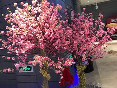 -博纳国际影城(南联IMAX店)