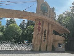 -五营红松林海景区