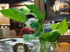 -云海肴·汽锅鸡·云南菜(美罗城店)