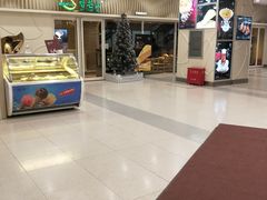 -沈阳百联购物中心(青年大街店)
