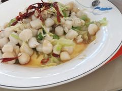 -丽苑大酒店