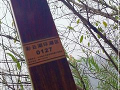 -重庆彩云湖湿地公园