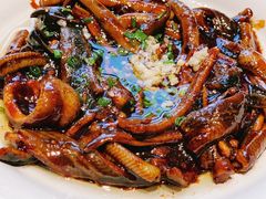 -蝶园·装修中(BFC外滩金融中心店)