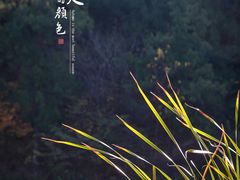 -香山公园