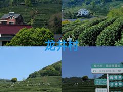 -龙井壹号·茶缘山景宴(龙井村店)