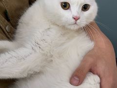 -纳吉亚猫专科动物医院·北北分院