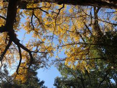 -无锡惠山寺