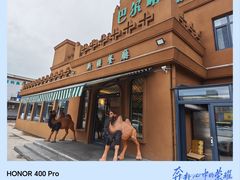-巴尔喀十新疆餐厅(开发区店)