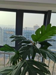 -HEYAN荷妍专业脱毛连锁机构