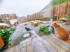 -小时光咖啡馆(开森度假森林店)