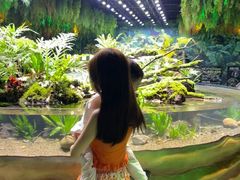 -海合安成都极地海洋公园