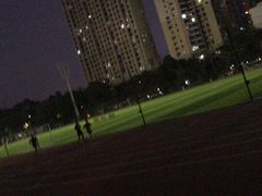 -福田体育公园