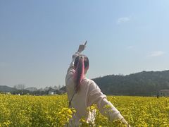 -南北湖风景区