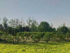 -汉长安城未央宫国家考古遗址公园