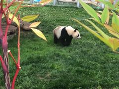 -西安秦岭野生动物园