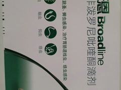-艾贝尔宠物医院 ·内科全科(梁溪路店)