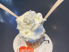-野人牧坊Gelato(天津南开大悦城店)