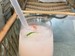 -共舞时光猫咖·狗咖(新街口店)